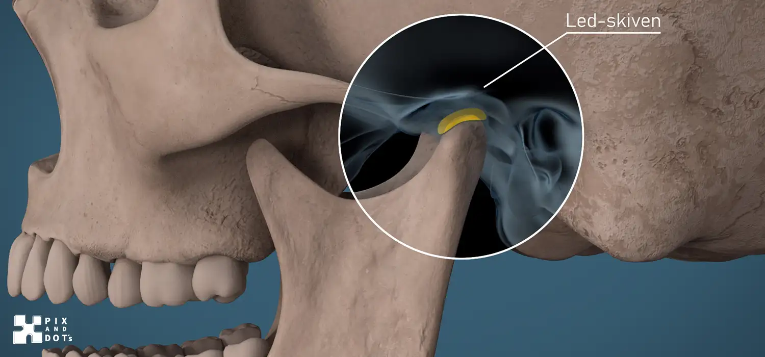 Anatomisk 3D animation